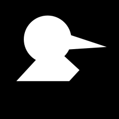 Option C for Which one of the figures labelled as P, Q, R, and S can be constructed by using each of the four pieces only once without overlaps? 