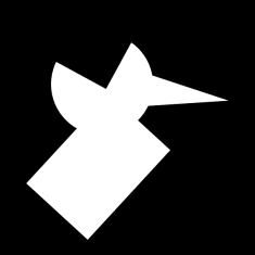 Option D for Which one of the figures labelled as P, Q, R, and S can be constructed by using each of the four pieces only once without overlaps? 